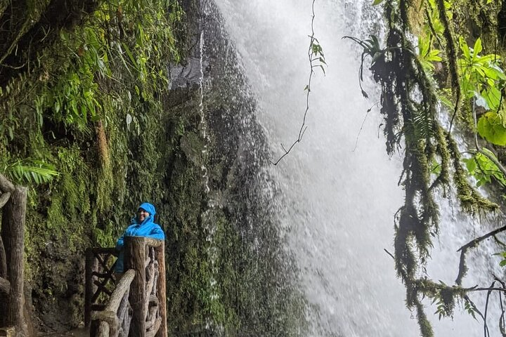 Poas Volcano and La Paz Waterfall Gardens Private Tour - Photo 1 of 25